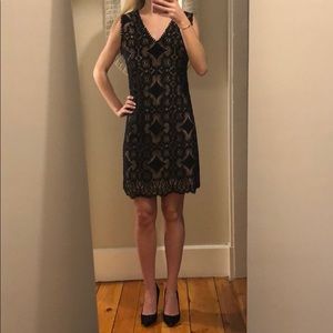 Classic Lace Cocktail Dress